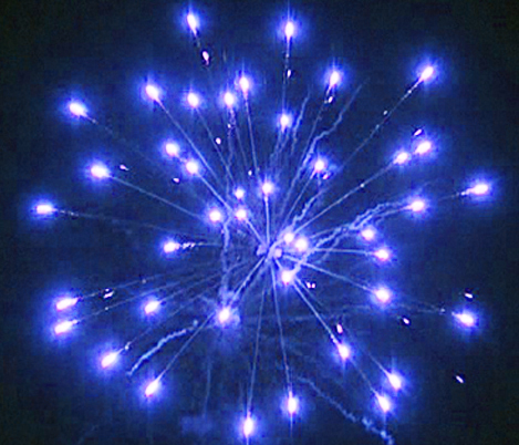 SF-398A 3